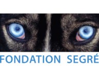 Fondation Segre